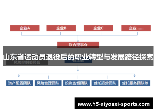 山东省运动员退役后的职业转型与发展路径探索