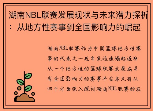 湖南NBL联赛发展现状与未来潜力探析：从地方性赛事到全国影响力的崛起